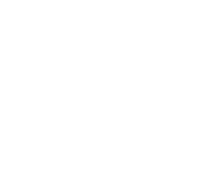 Brandigits
